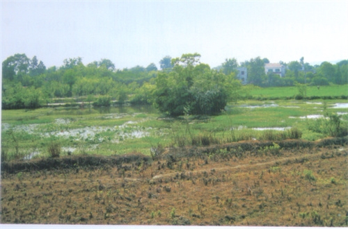 ��έ��֤�������ߵĹ�