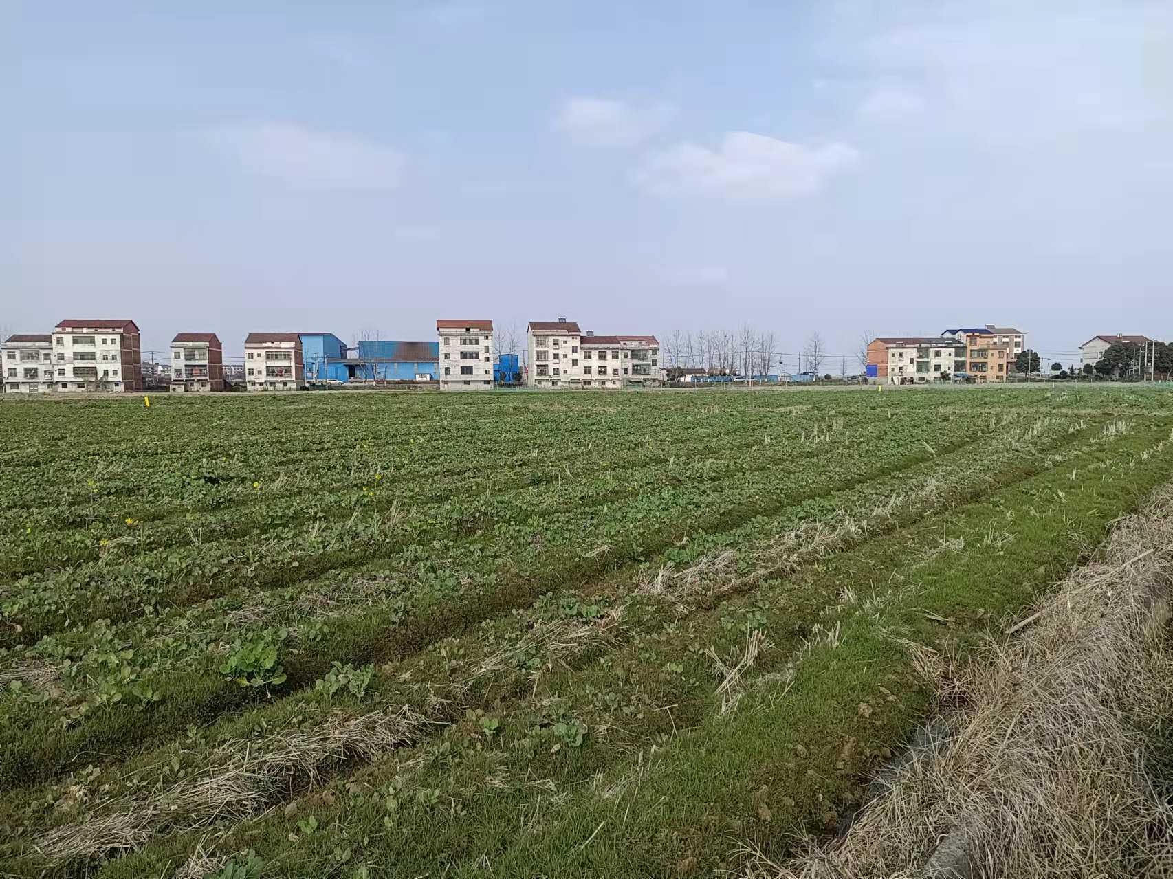 ��Ƭ���������