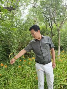 �ɽ���ЧӦ����ζ�龭�����ϣ�����