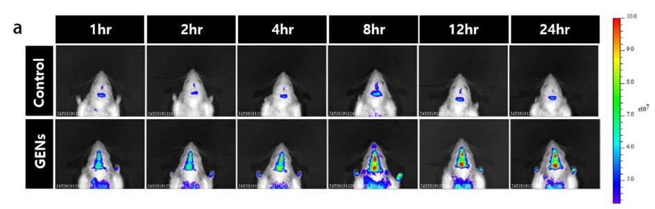 /uploads/allimg/250612/192ALJ8-2.jpg /uploads/allimg/250612/192ALJ8-2.jpg