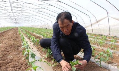 �����˵ġ��������