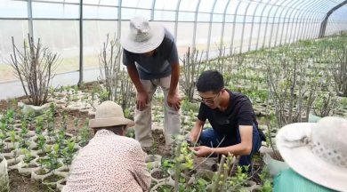 ֯��һ����������ǧ���