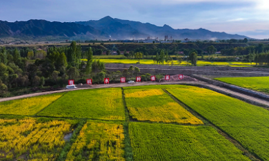 �ƺ��ϵ�з�����������л�ˮ����ֲ���ػ��������ˡ��ƽ𻭾���