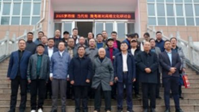 ��2025�ε��顤���������������Ļ��������ֻ�ɹ��ٰ�