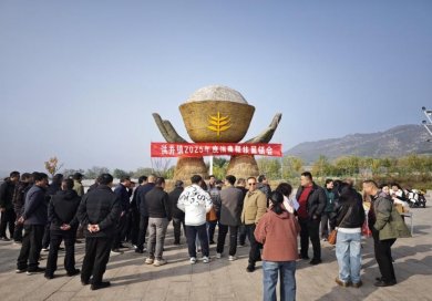 ����������غ龮�����Ѱ��չ�����ũ����