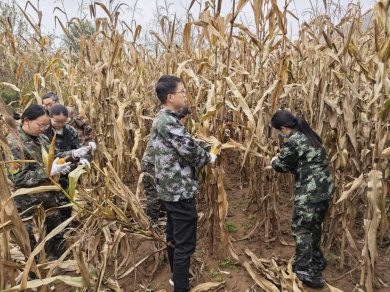 ����������غ龮���ȺЯ���������ա���ȫ�ߡ�