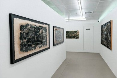  ��������չ���ֳ�������þ� ̼�蹲��